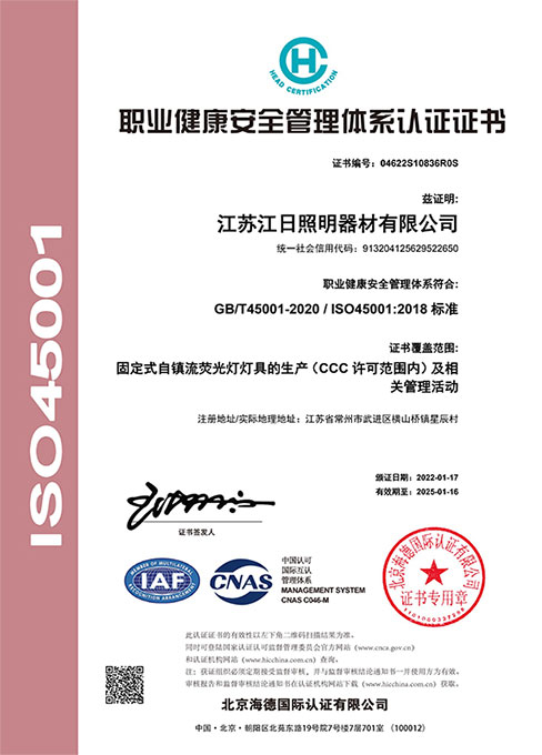 職業(yè)健康安全I(xiàn)SO45001（中文）